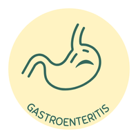 Menú gastroenteritis