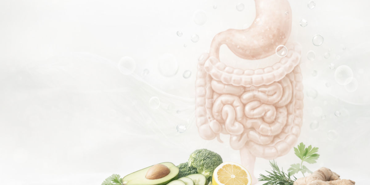 Gases-intestinales-nutrición