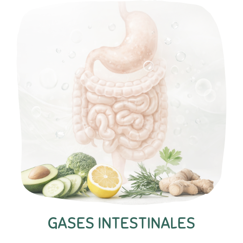 gases-intestinales-flatulencias-nutrición
