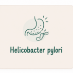 Nutricionista especialista en helicobacter pylori Nutricionista especializada en helicobacter pylori