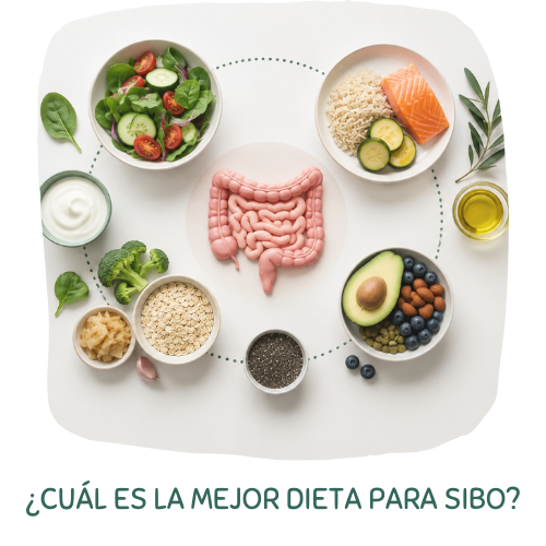 ¿Cuál es la mejor dieta para SIBO?