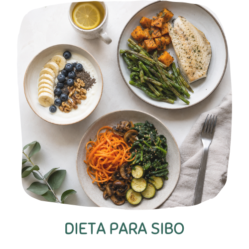Dieta para SIBO